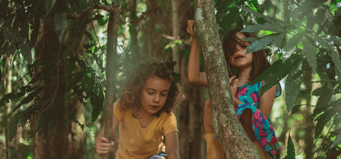 "Toda educação é auto-educação (...). Devemos criar o mais propício ambiente para que a criança eduque-se junto a nós, da maneira como ela precisa educar-se por meio de seu destino interior" Rudolf Steiner